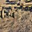 3ph-offset-disc-harrow-image-5