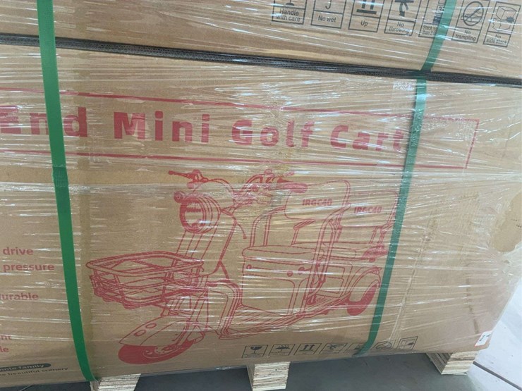 2025-mini-golf-cart-image-3