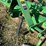 john-deere-520-image-27