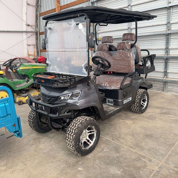 Electric 40 Volt Golf Cart 4 Seater