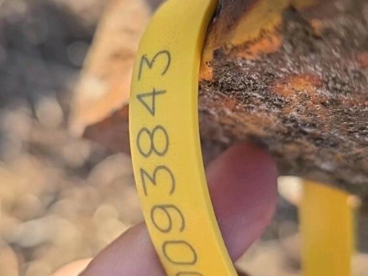 3ph-offset-disc-harrow-image-10