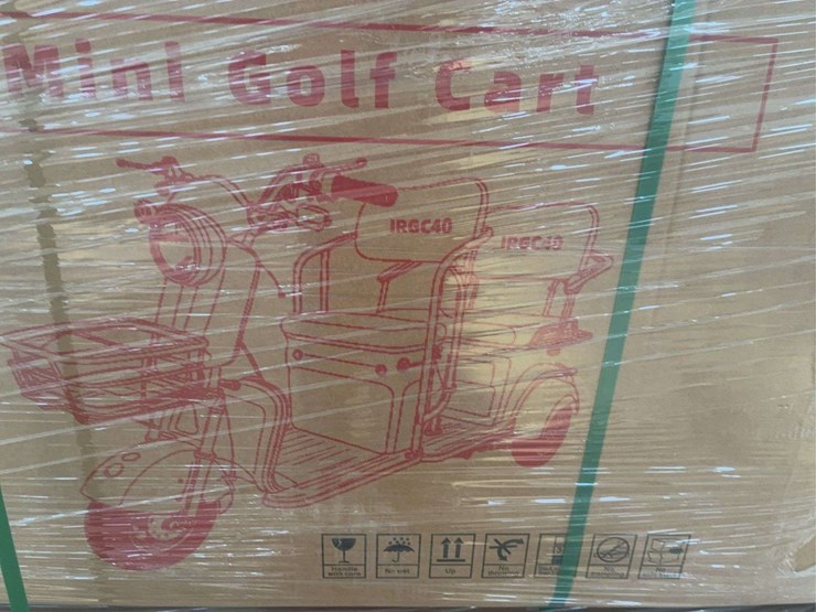 2025-mini-golf-cart-image-3