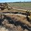 #35279-•-water-furrow-plow-image-1