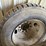 #35095-•-unused-lot-of-(3)-tires-image-8