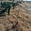 #35280-•-20'-field-cultivator-image-5