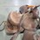old-saddle-no-stirrup-image-6