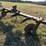 #35848-•-water-furrow-plow-image-3