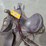 riding-saddle-image-7