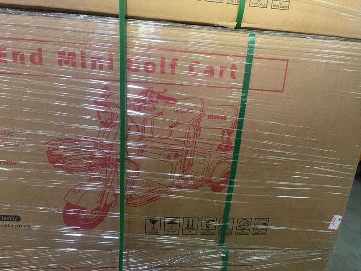 2025-mini-golf-cart-image-5