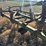 #35281-•-18'-field-cultivator-image-14