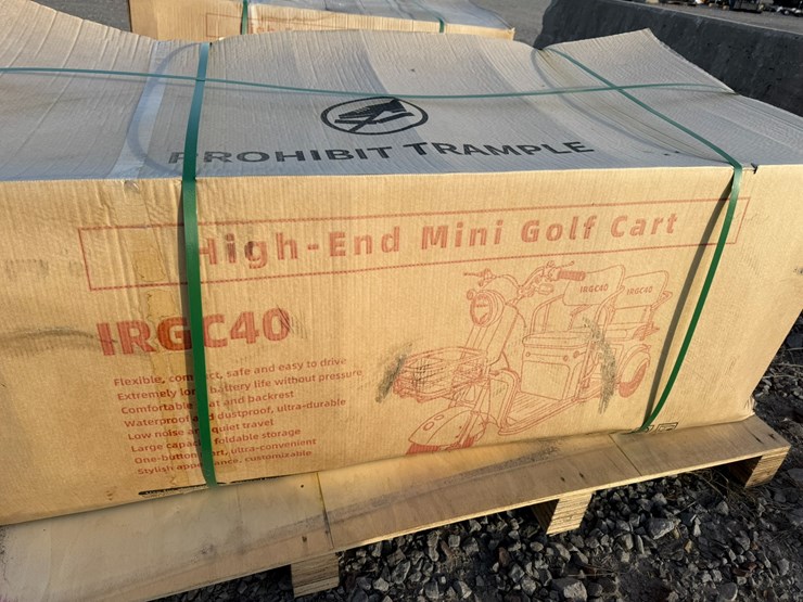 #33684-•-unused-irgc-40-golf-cart-image-5