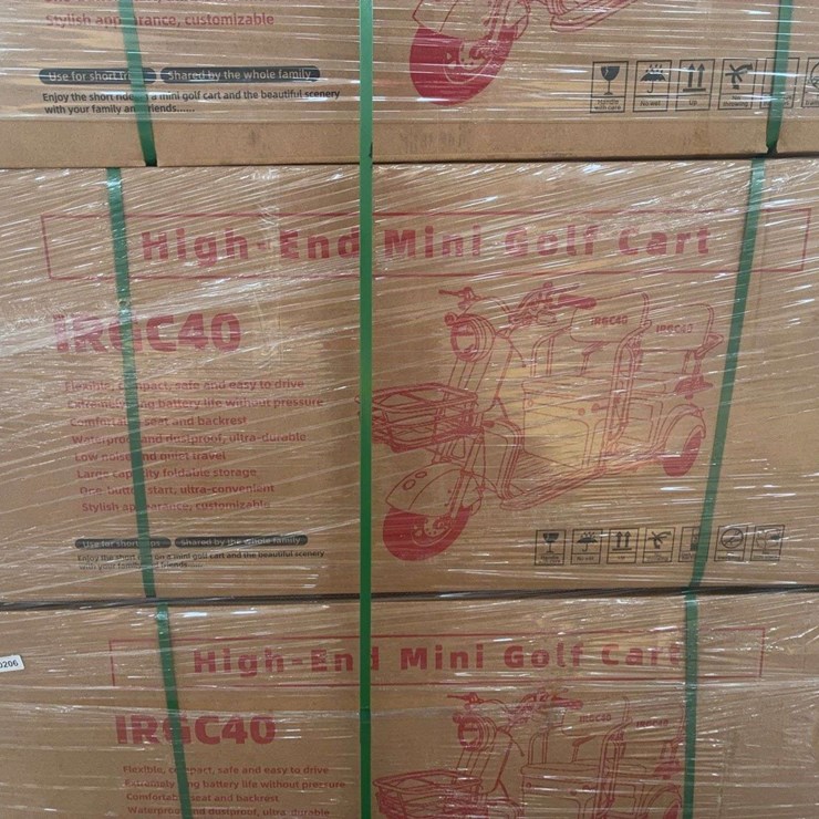 2025 Mini Golf Cart