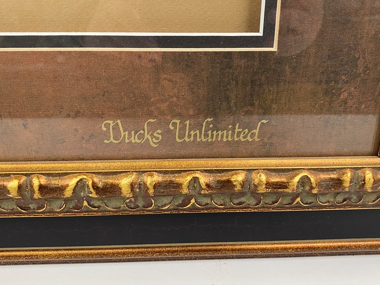 #51-•-#1039-•-framed-upland-game-bird-feather-collection-from-ducks-unlimited.-32"x31"-image-10