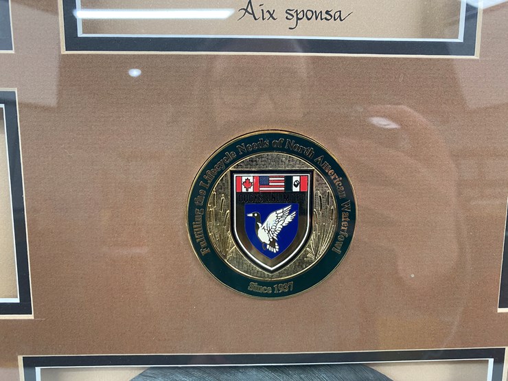 #50-•-#1037-•-framed-driver-duck-feather-collection-by-john-gewerth-from-ducks-unlimited.-24"x34"-image-7