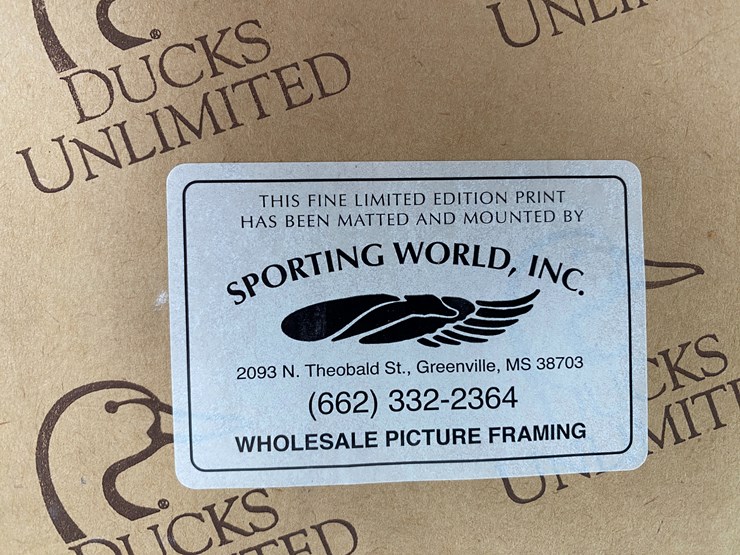 #77-•-#1038-•-framed-limited-edition-417/1000-dabbler-duck-feather-collection-by-john-gewerth.-24"x34"-image-13