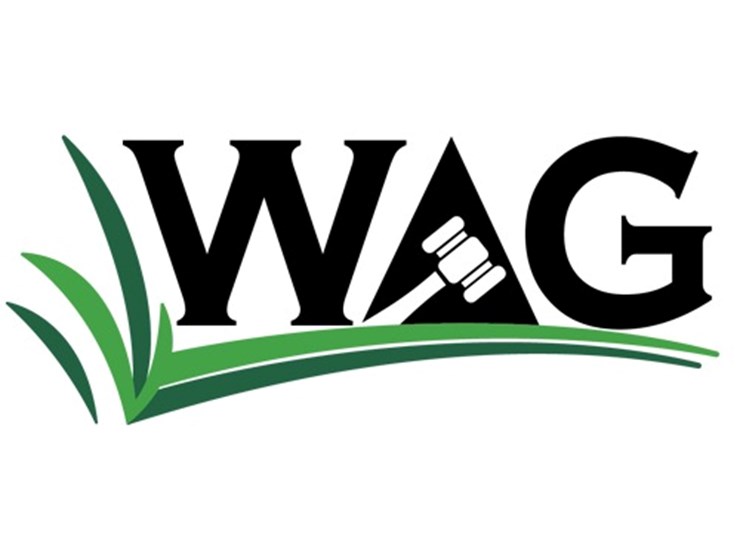 #4-•-#4-•-firearm-transfer-information-image-1