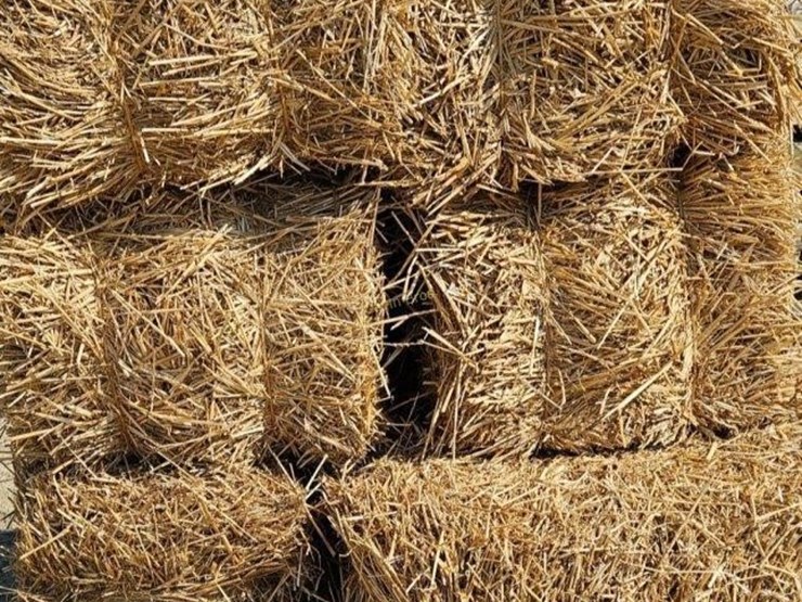 (10)-small-square-wheat-straw-bales----offsite-image-2