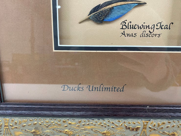 #50-•-#1037-•-framed-driver-duck-feather-collection-by-john-gewerth-from-ducks-unlimited.-24"x34"-image-5