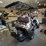 new-sdlanch-sdlgc80-golf-cart-image-9