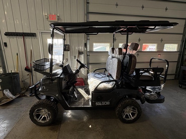 new-sdlanch-sdlgc80-golf-cart-image-8