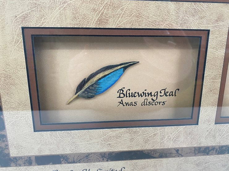 #77-•-#1038-•-framed-limited-edition-417/1000-dabbler-duck-feather-collection-by-john-gewerth.-24"x34"-image-4