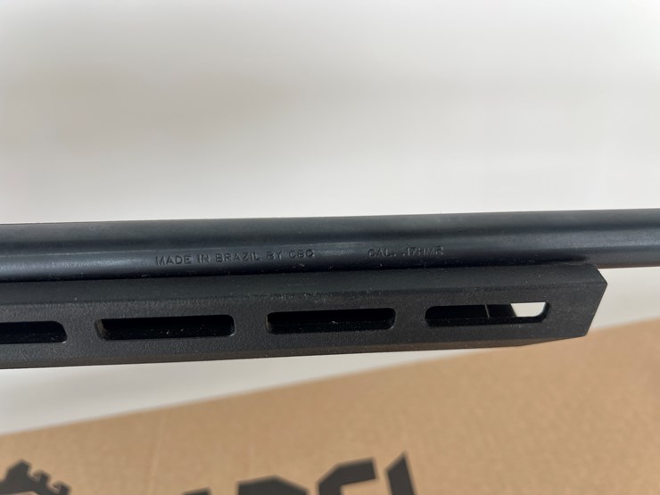 international-21-image-5