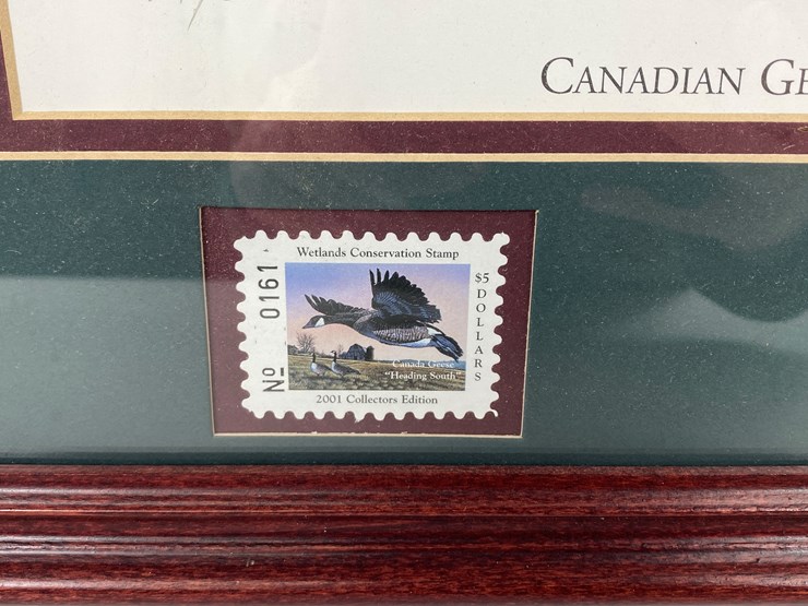 #47-•-#1035-•-"canadian-geese-'headed-south'"-by-eddie-e.-roy.-framed-american-wetlands-conservation-signed-print-and-stamp-161/2500.-18"x20"-image-5