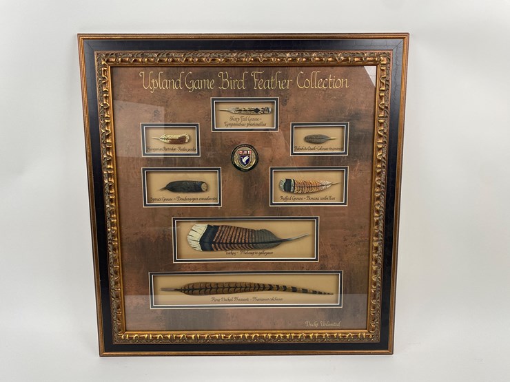 #51-•-#1039-•-framed-upland-game-bird-feather-collection-from-ducks-unlimited.-32"x31"-image-1