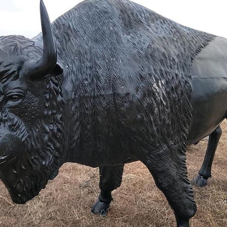 LIFESIZE BUFFALO