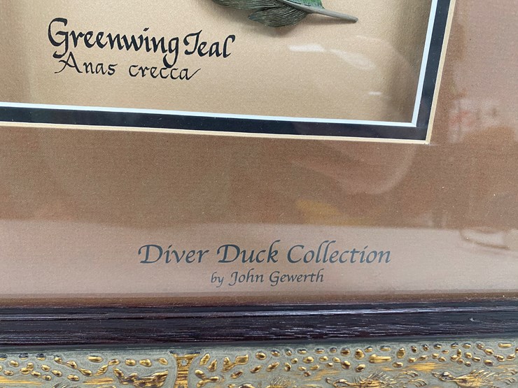 #50-•-#1037-•-framed-driver-duck-feather-collection-by-john-gewerth-from-ducks-unlimited.-24"x34"-image-12