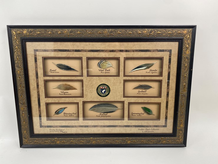 #77-•-#1038-•-framed-limited-edition-417/1000-dabbler-duck-feather-collection-by-john-gewerth.-24"x34"-image-1