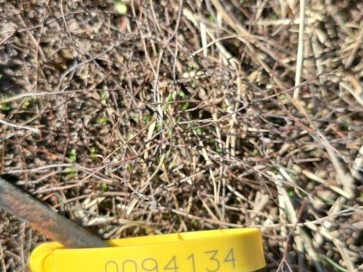 metal-bigfoot-w/-finger-image-2