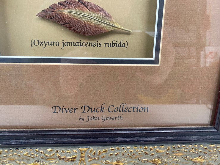 #48-•-#1036-•-framed-driver-duck-feather-collection-by-john-gewerth-from-ducks-unlimited.-24"x34"-image-12