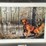 #54-•-#1041-•-"arkansas-youth-day-mallards"-by-larry-chandler.-framed-waterfowl-hunting-and-conservation-signed-print-and-stamp-115/7200.-17"x18"-image-2