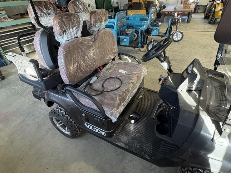 new-sdlanch-sdlgc80-golf-cart-image-7