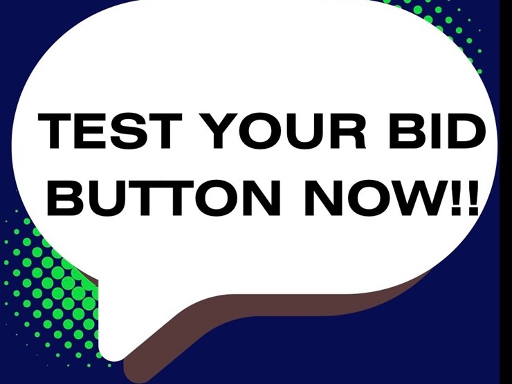 #4-•-test-your-bid-button-now-image-1