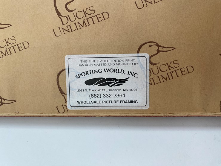 #51-•-#1039-•-framed-upland-game-bird-feather-collection-from-ducks-unlimited.-32"x31"-image-12