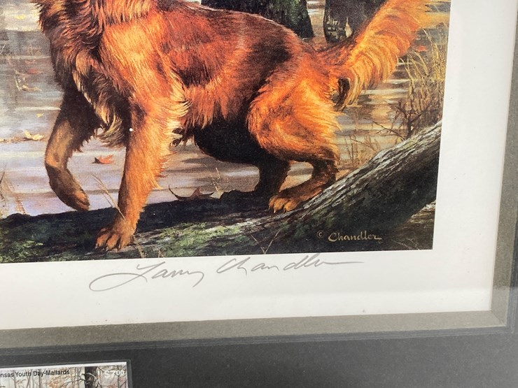 #54-•-#1041-•-"arkansas-youth-day-mallards"-by-larry-chandler.-framed-waterfowl-hunting-and-conservation-signed-print-and-stamp-115/7200.-17"x18"-image-4