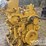 caterpillar-3126-image-4
