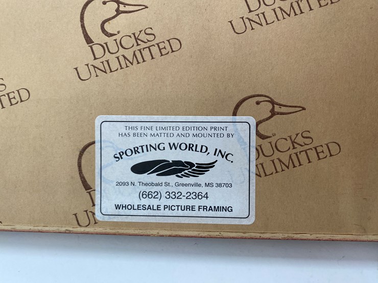 #51-•-#1039-•-framed-upland-game-bird-feather-collection-from-ducks-unlimited.-32"x31"-image-11