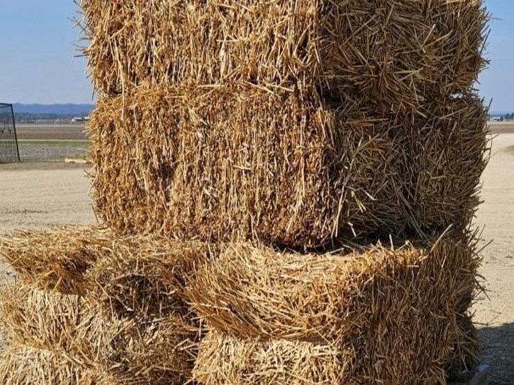 (10)-small-square-wheat-straw-bales----offsite-image-1