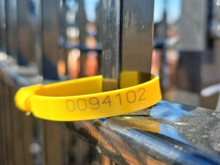 20'-tree-of-life-bi-parting-gate-image-3