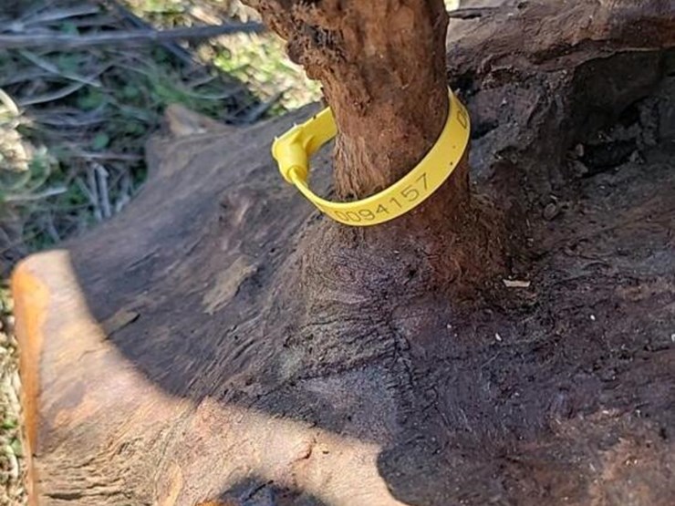 wooden-2-tier-table-image-3