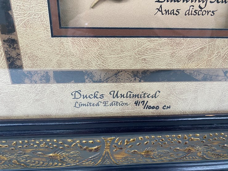 #77-•-#1038-•-framed-limited-edition-417/1000-dabbler-duck-feather-collection-by-john-gewerth.-24"x34"-image-5
