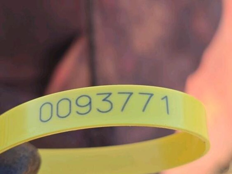 3ph-spin-spreader-image-4