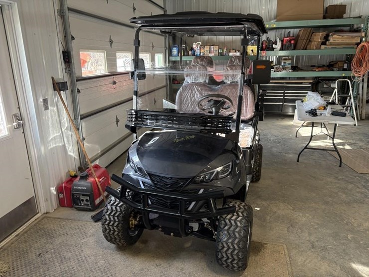 new-sdlanch-sdlgc80-golf-cart-image-2