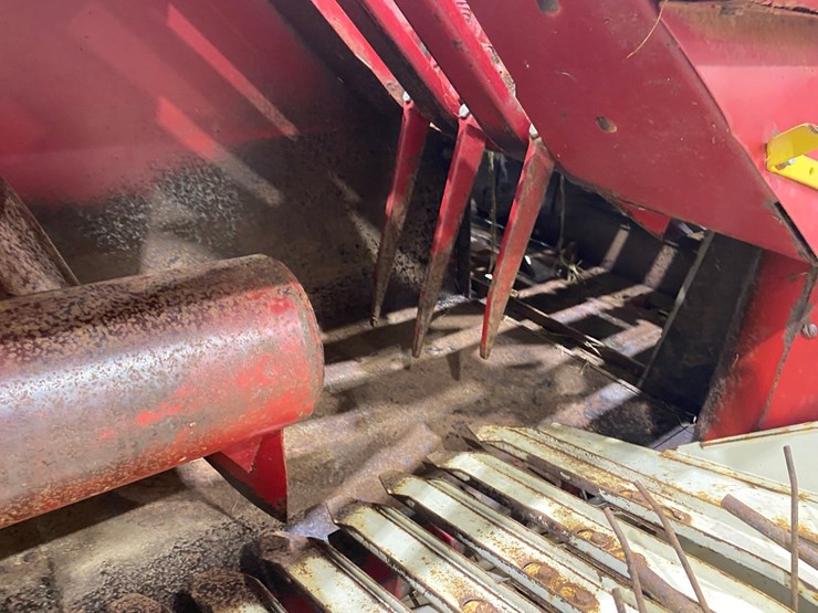 international-435-image-13