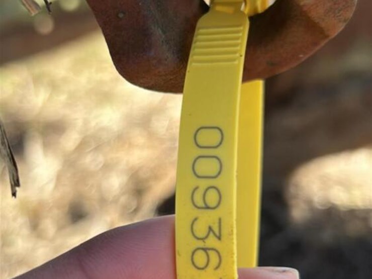 bottom-plow-image-14