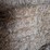 (100)-small-square-bales-of-wheat-straw-image-2