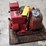 red-lion-rlgf-8-water-pump-image-8